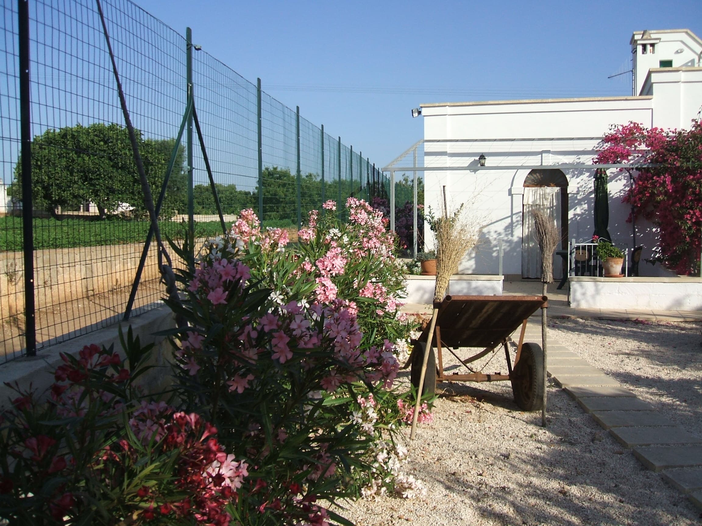 Masseria Casa Nostra - Foto 3