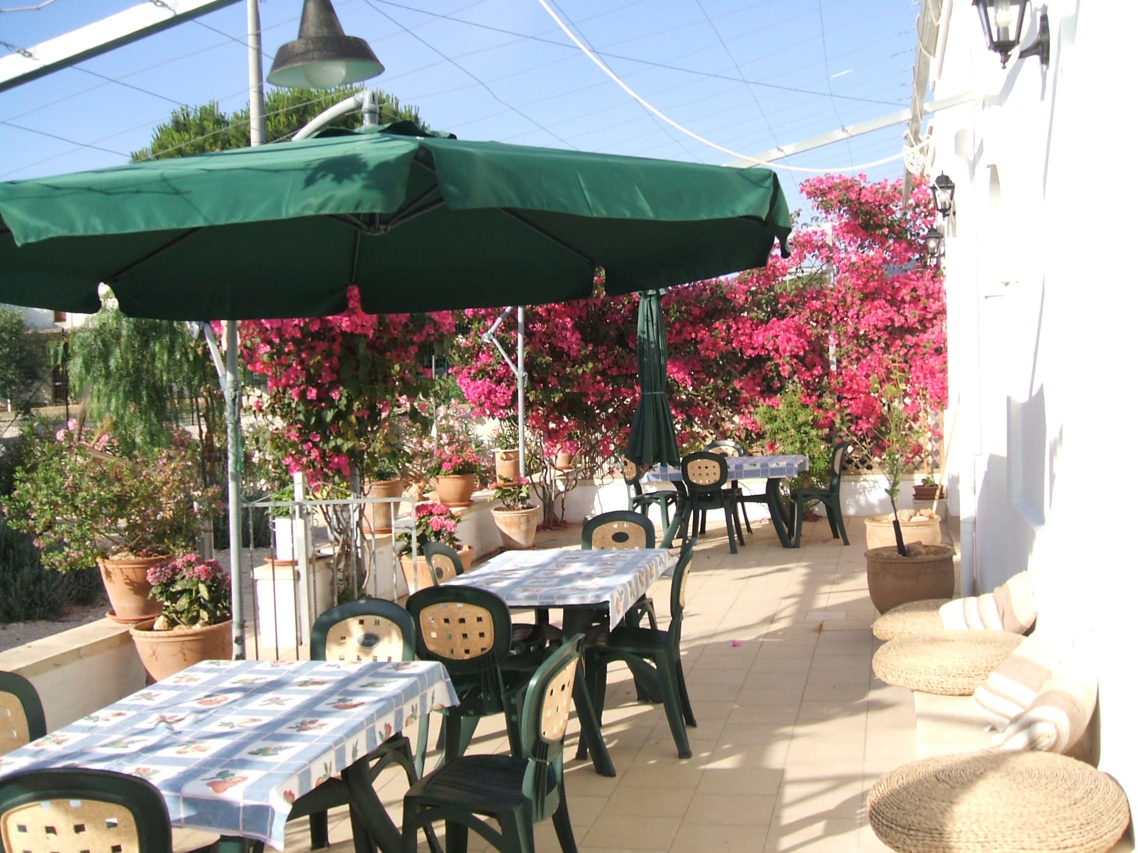 Masseria Casa Nostra - Foto 4