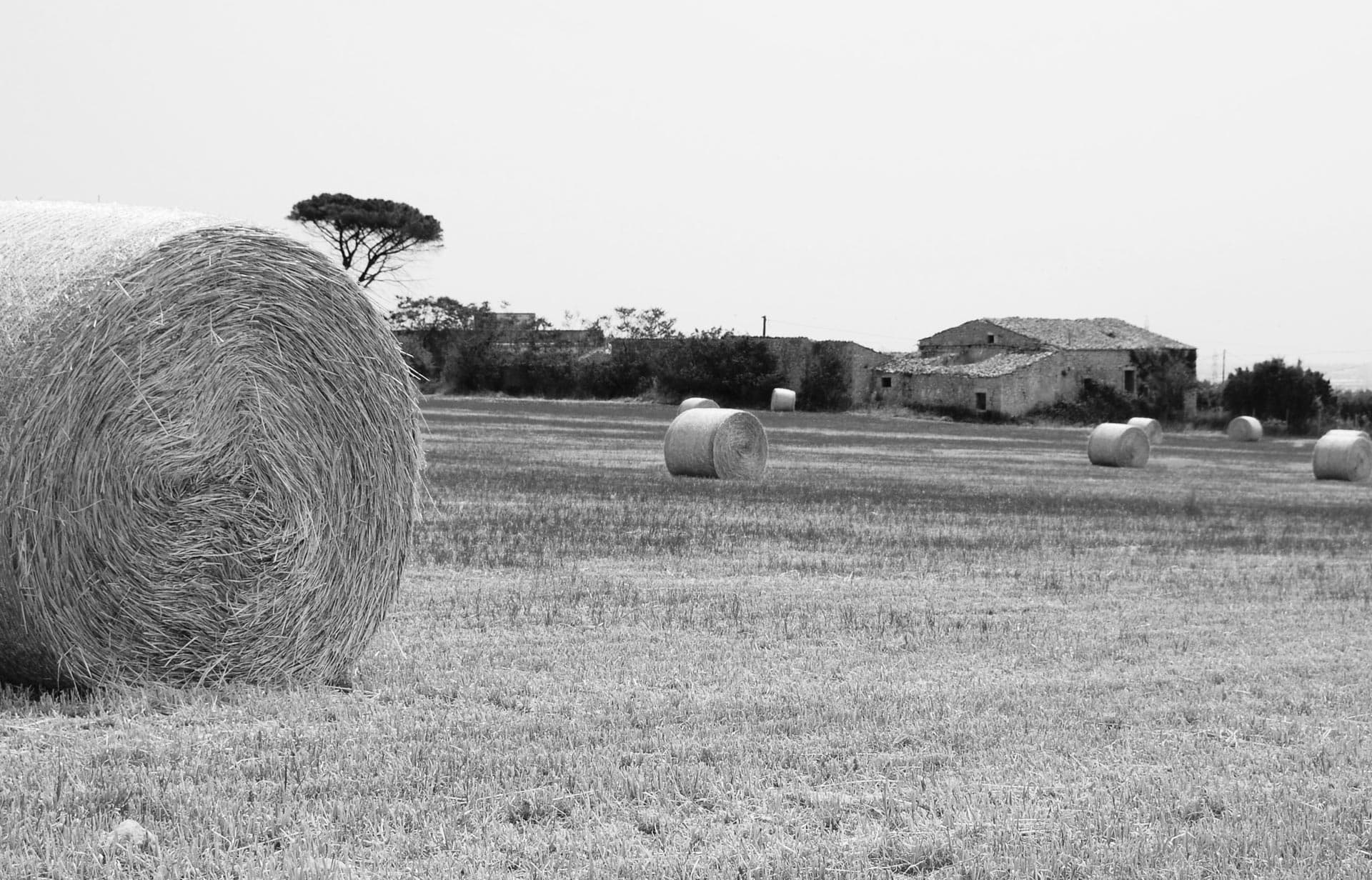 Terre Iblee Resort - Ragusa (RG) - Foto 2