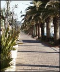 Hotel Albatros - Foto 4