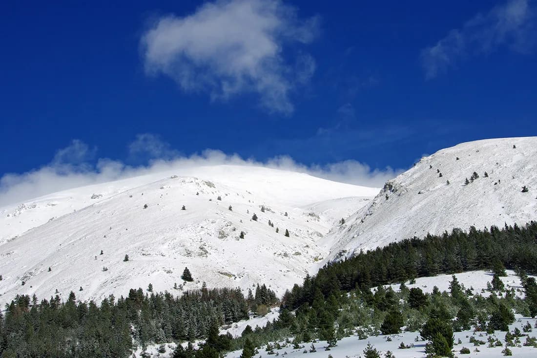 Hotel Degli Olmi - Villetta Barrea (AQ) - Foto 2
