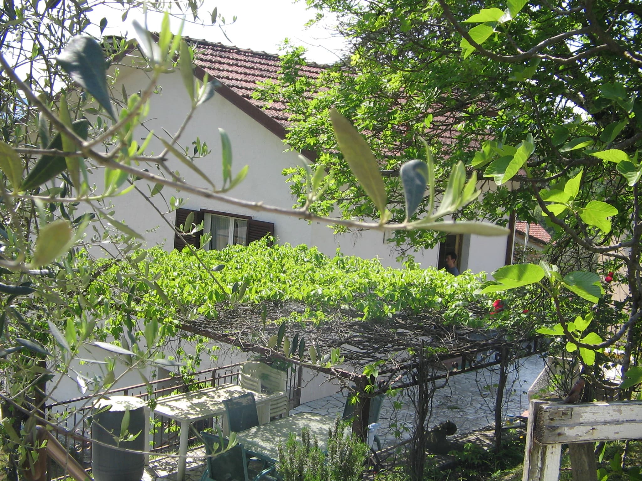 Chambre privée – Il Podere Degli Ulivi - Carrara (MS) - Foto 2