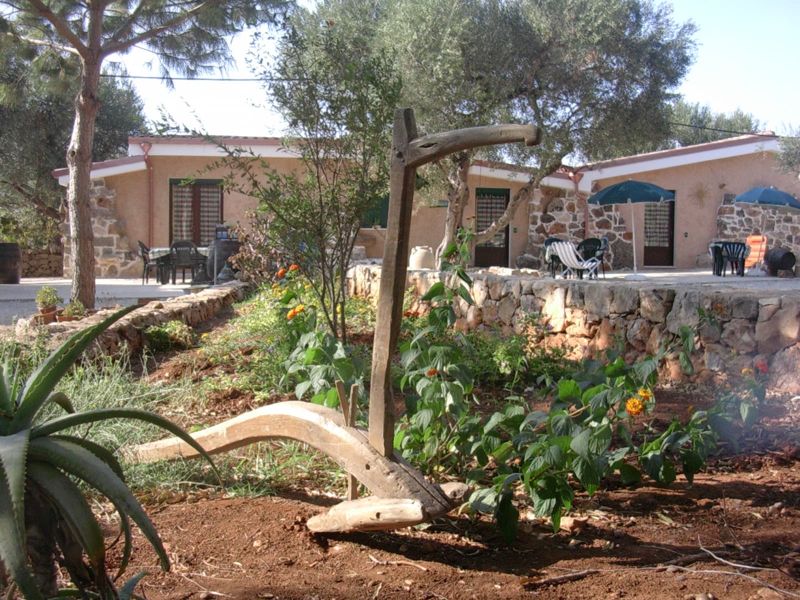 Macchia Salentina - Foto 3