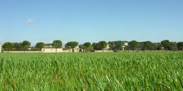 B&B Casina Montana - Bed & Breakfast a Corigliano d'Otranto
