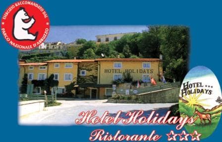 Hotel Holidays - Foto 2