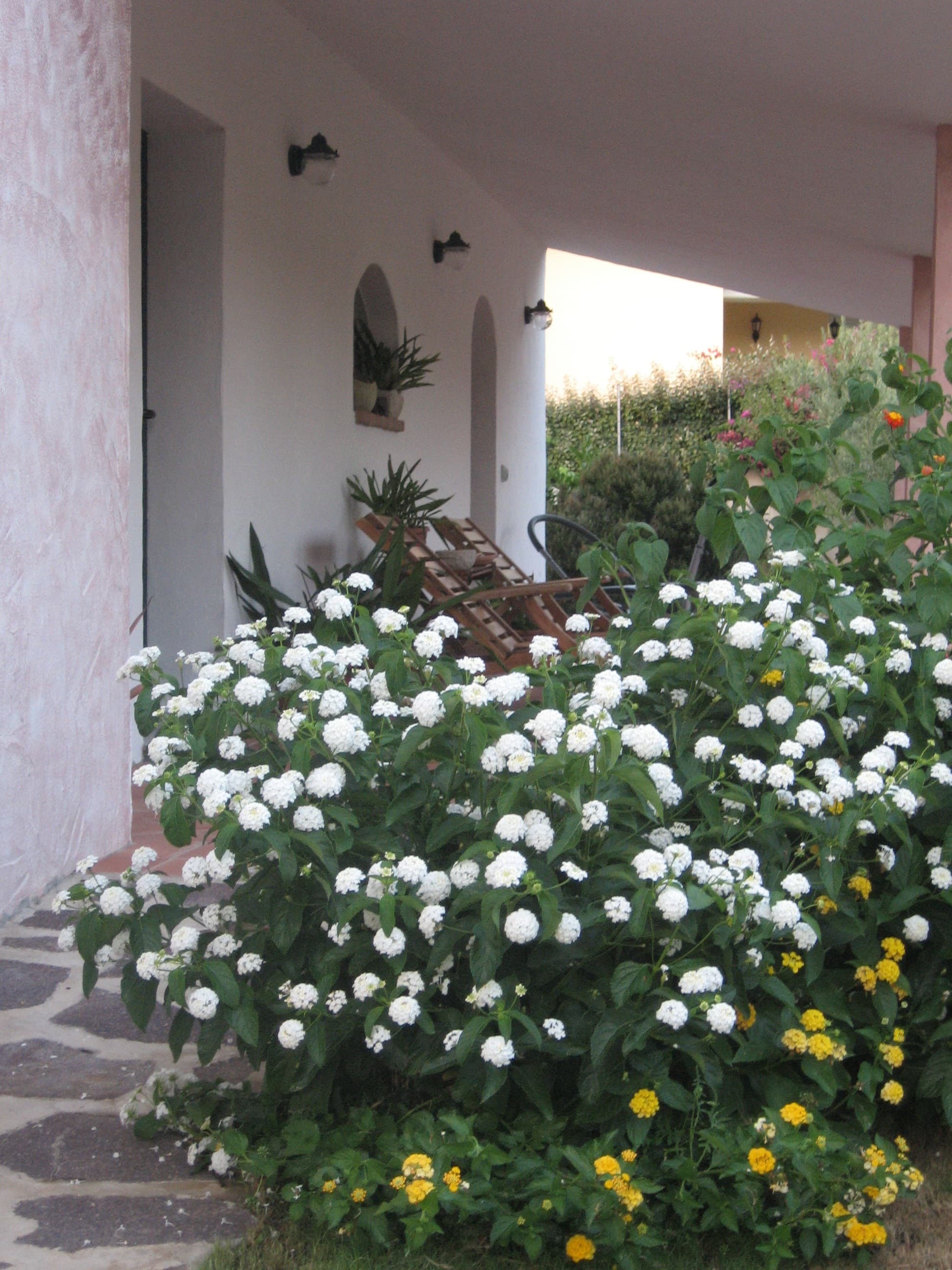 B&B Il Corallo - Foto 4