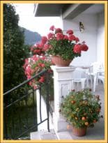 Albergo Della Corte - Foto 2