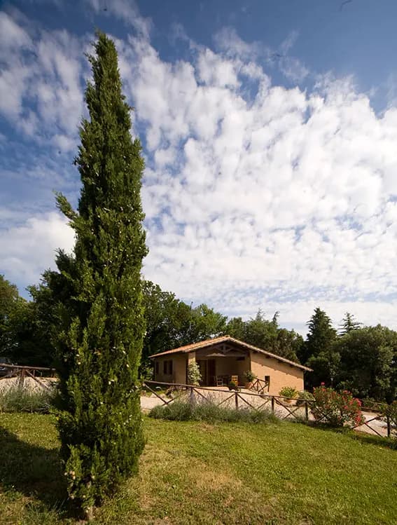 Agriturismo Poggio Di Montedoro - Montefiascone (VT) - Foto 3