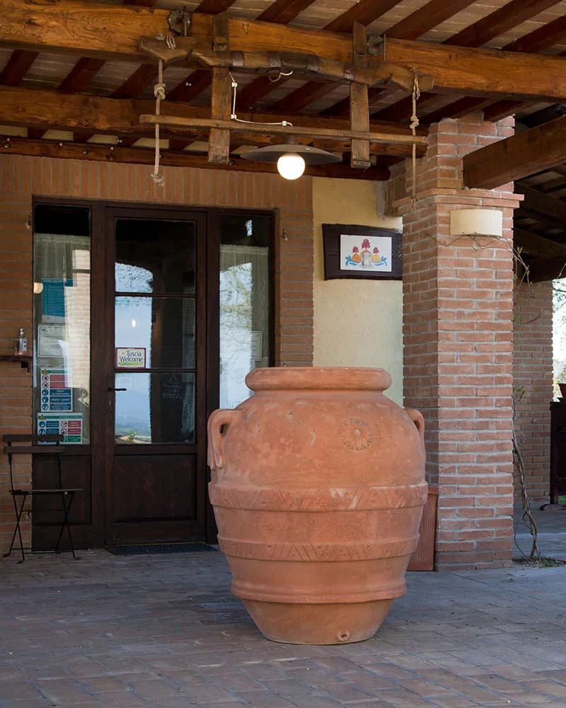 Agriturismo Poggio Di Montedoro - Montefiascone (VT) - Foto 2