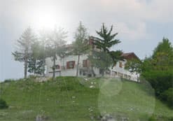 Hôtel Pinguino - Foto 2