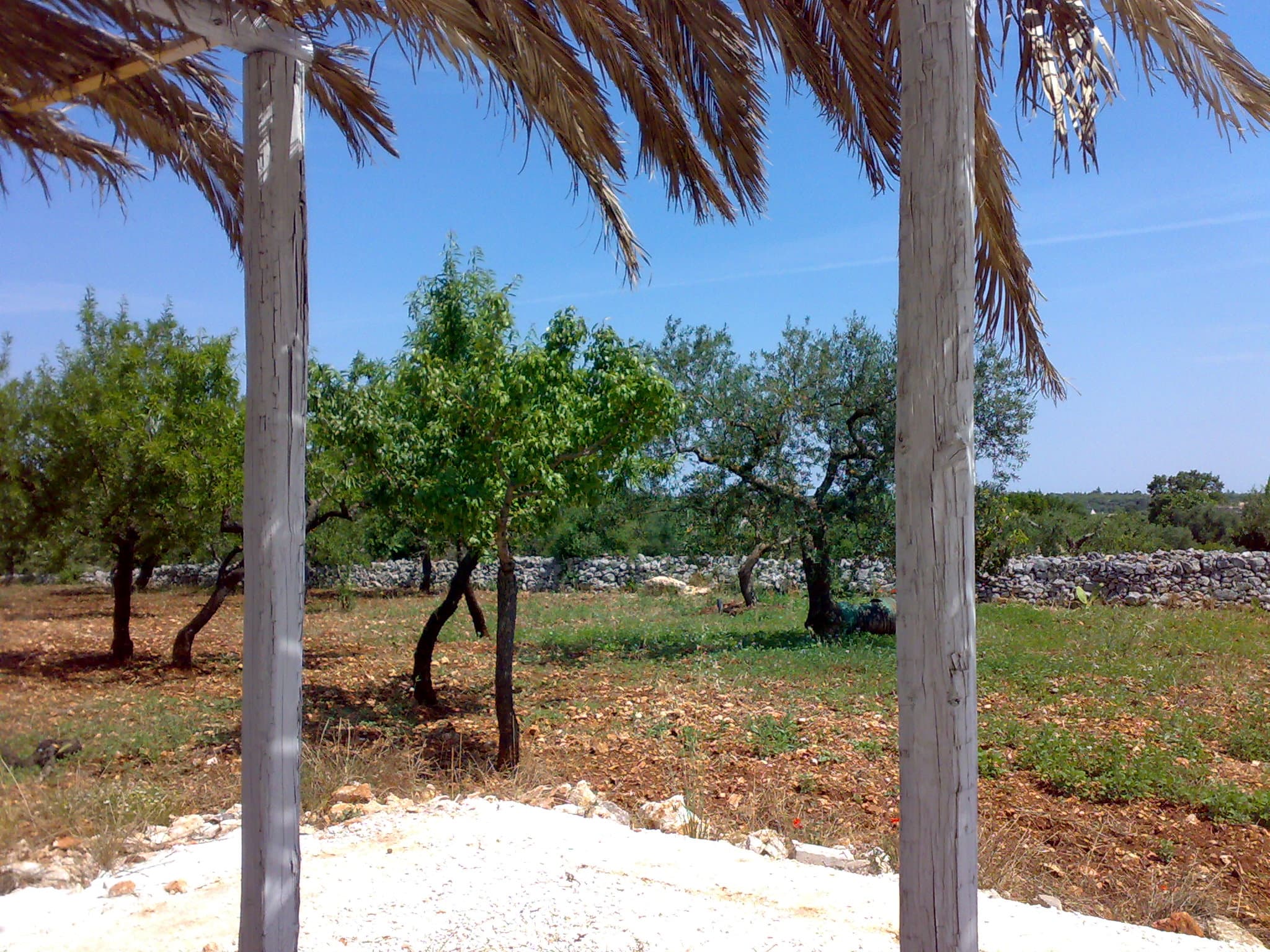 Chambre privée – Trullo Del Melograno - Foto 3