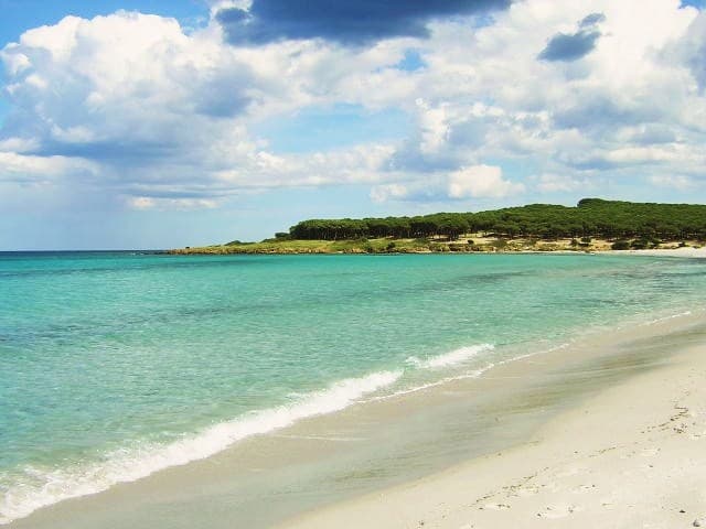 B&B Benennidos - Foto 2