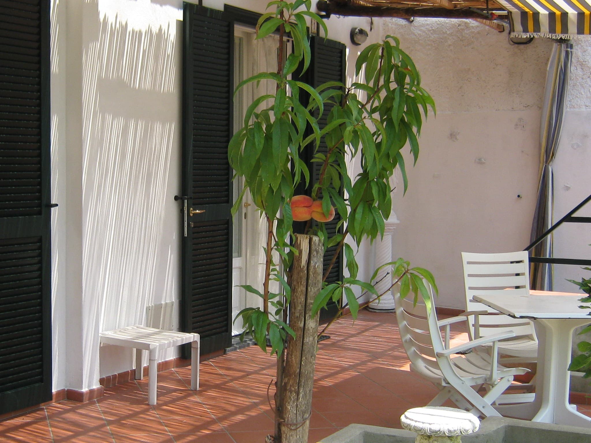 2-Room Apartment – Edenholiday - Foto 2