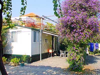 Camping Lino - Foto 3