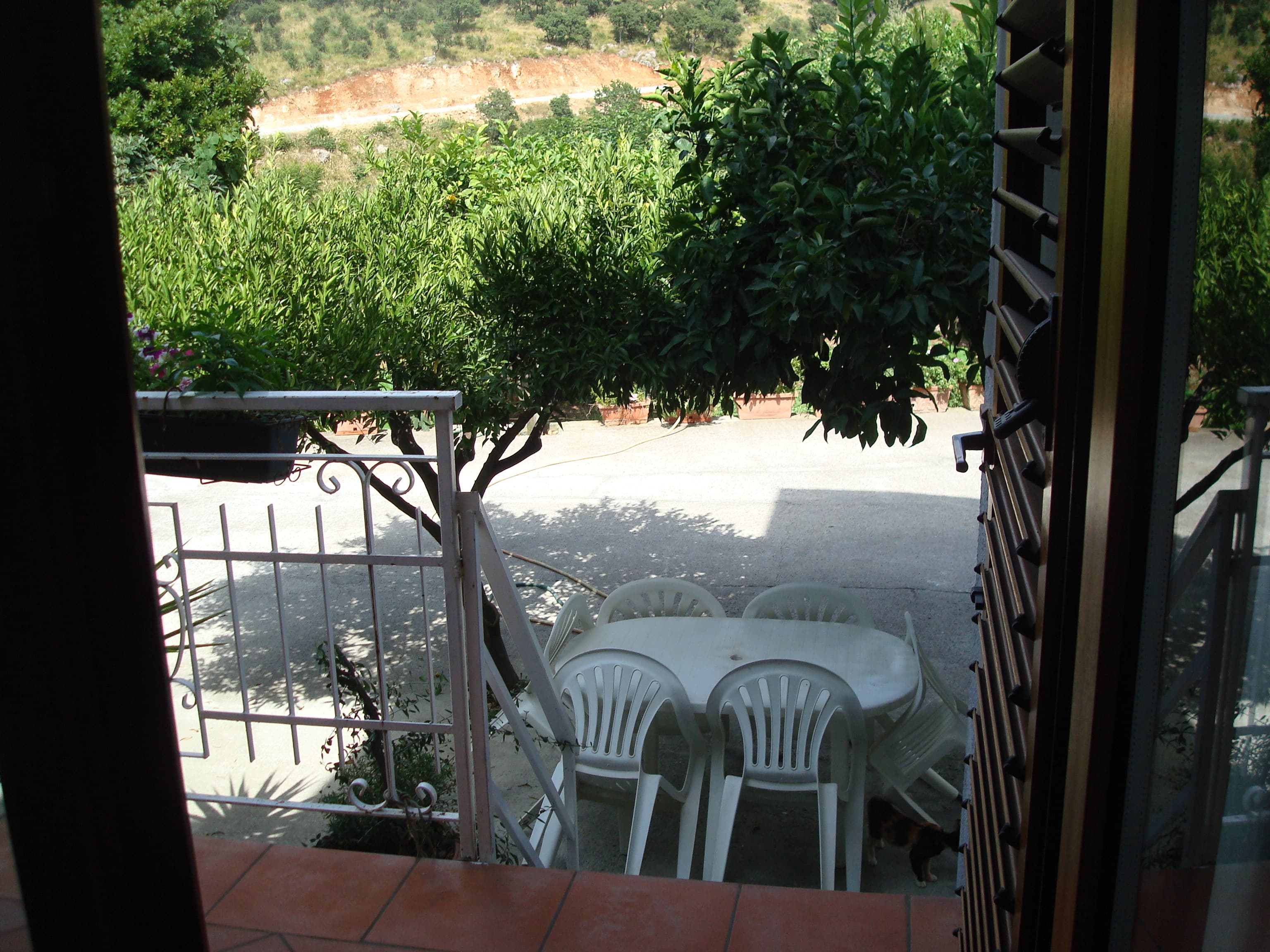 B&B Il Grillo - S. Maria del Cedro (MI) - Foto 2