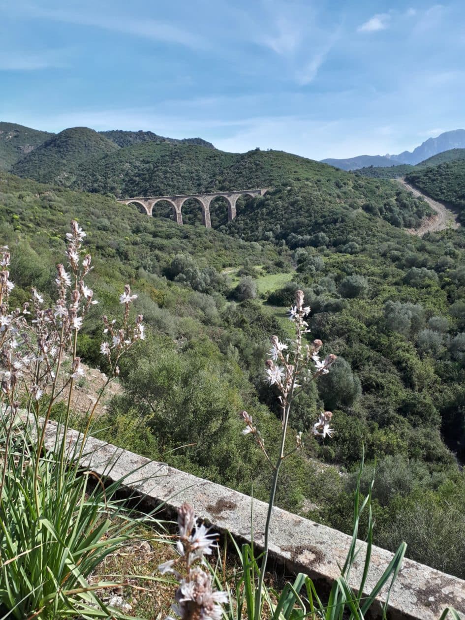 B&B Mare Monti Miniere - Aglientu (OT) - Foto 4