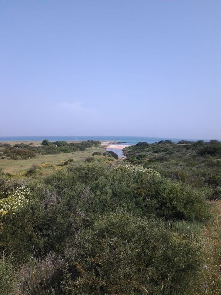 B&B Masseria Lamasanta - Foto 4