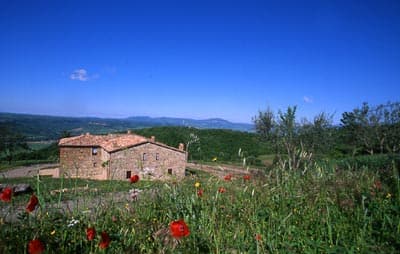 Agriturismo Acerona - Foto 3