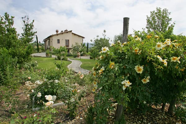 Bauernhof Antico Uliveto - Foto 2