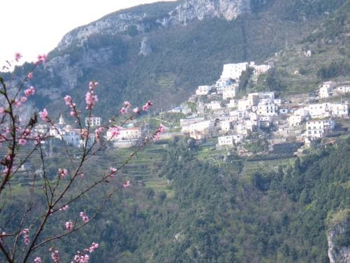 Locanda Ripa delle Janare - Foto 4