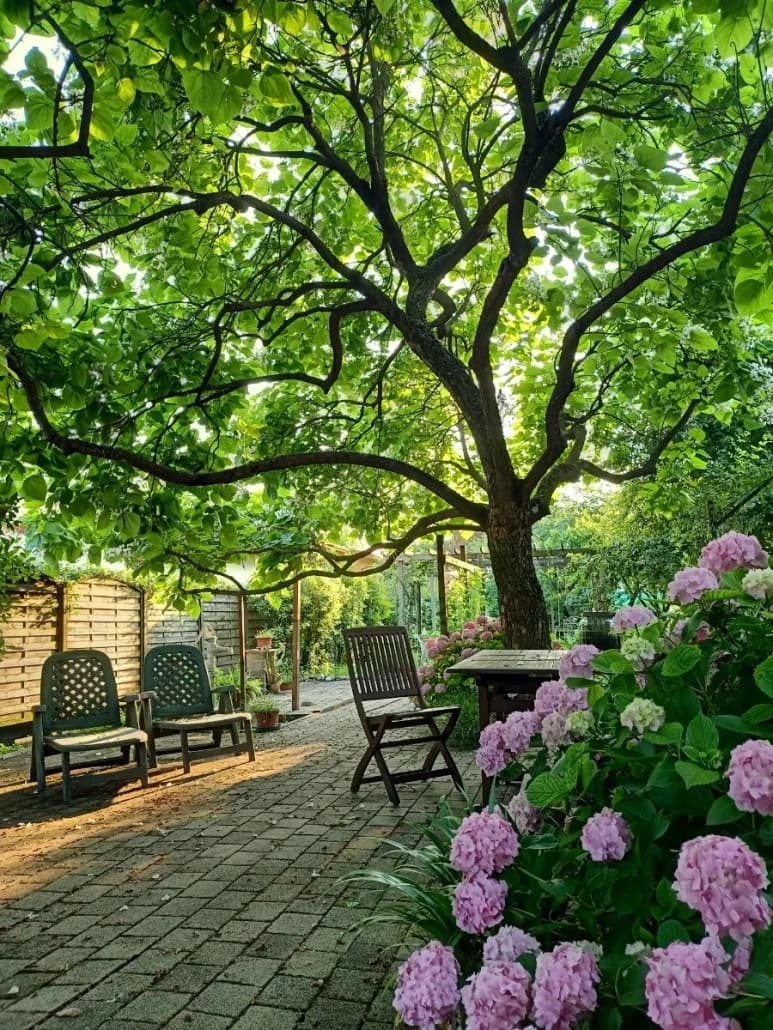 Bed & Breakfast für 2 Personen - Pordenone (PN) - Foto 4