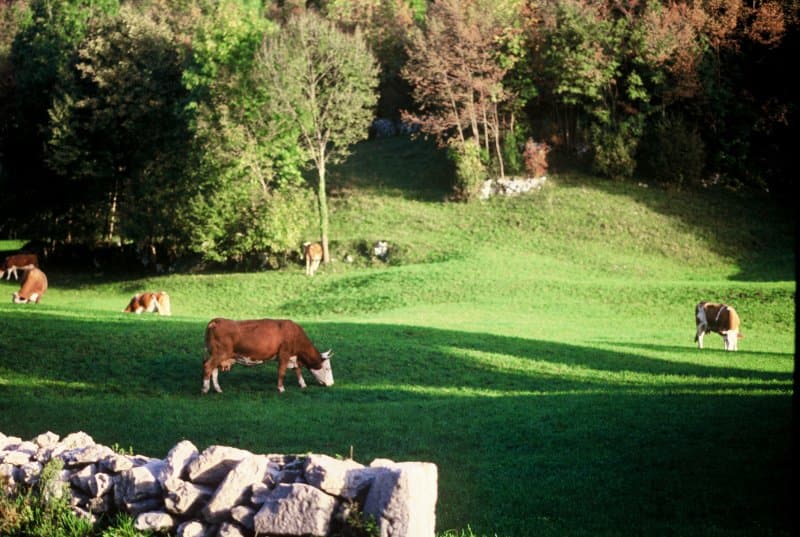 Hotel Diffuso Monte Prat - Foto 2