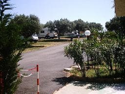1° Camping Valle Dei Templi - Foto 4