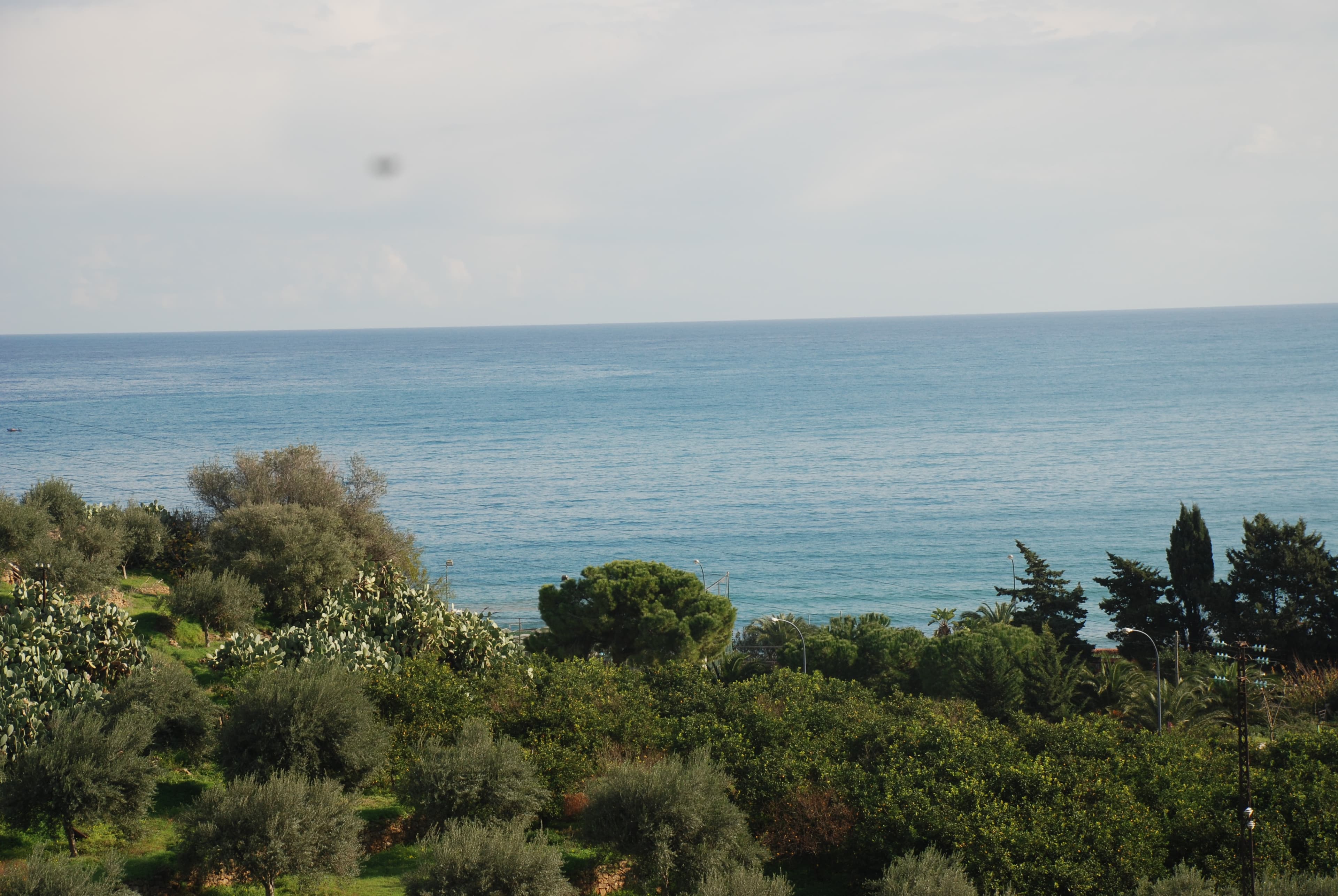 Agritourisme e B&B Villa Cefalà - Foto 3
