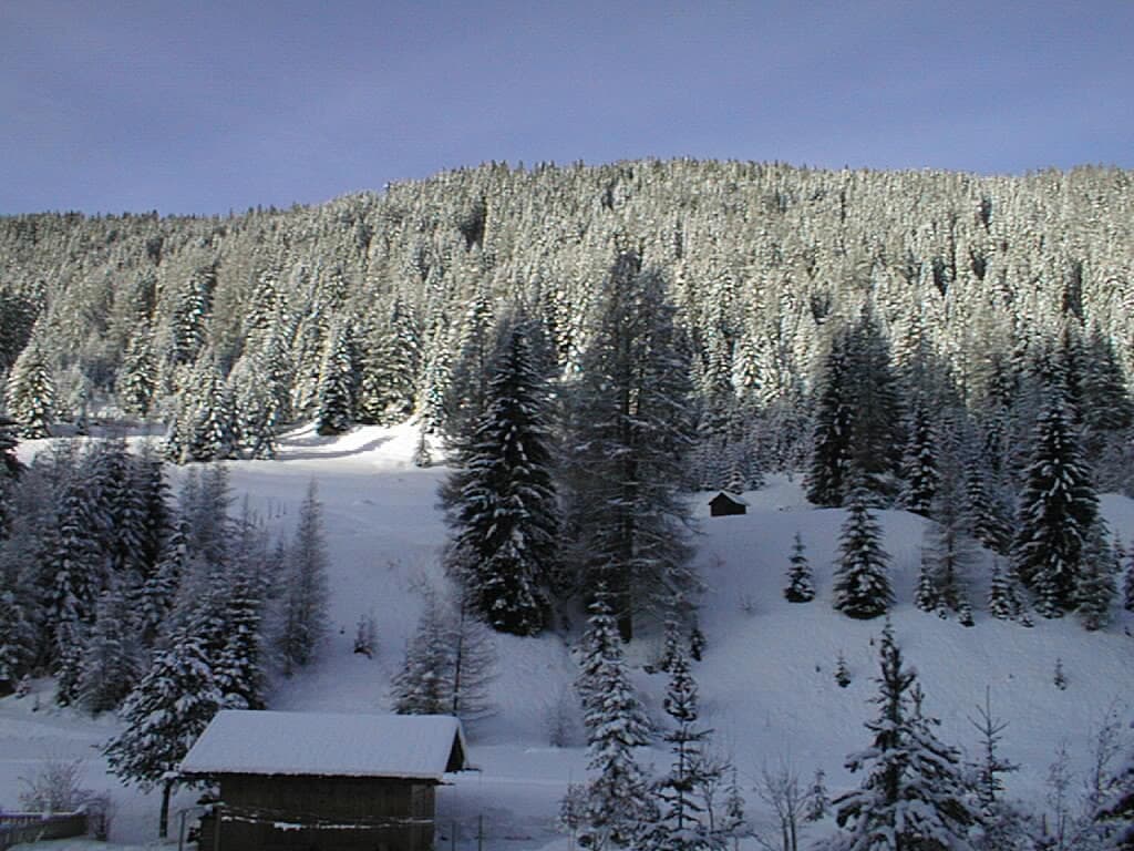 Hotel Rosalpina - Foto 2