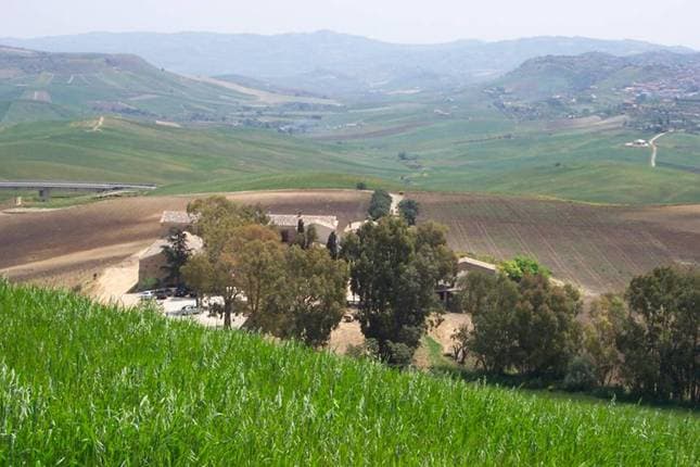 Agritourisme Gigliotto - Foto 3