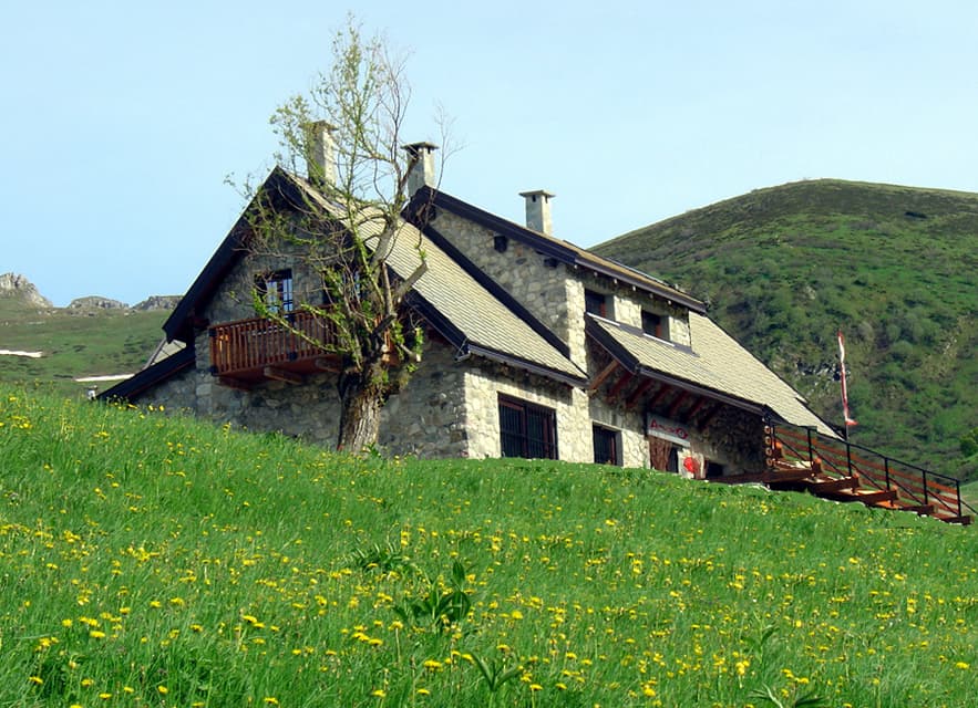 Arrucador - Foto 2
