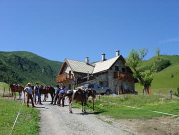 Arrucador - Foto 3