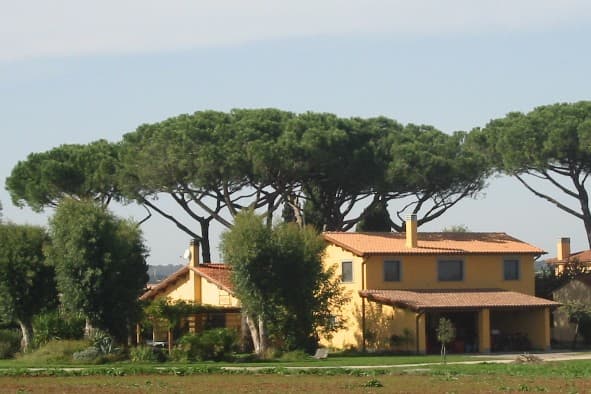 B&B Vigna Di Valle - Foto 4