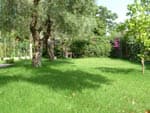 Bed & Breakfast Degli Ulivi - Capoterra (CA) - Foto 3