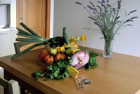 Studio Apartment for 2 Guests near the beach - Pietra Ligure (SV) - Photo 3