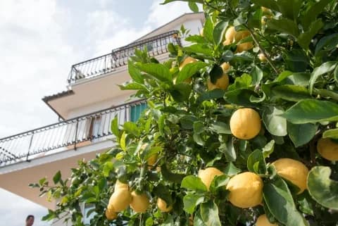 Studio Apartment for 2 Guests near the beach - Pietra Ligure (SV) - Photo 5
