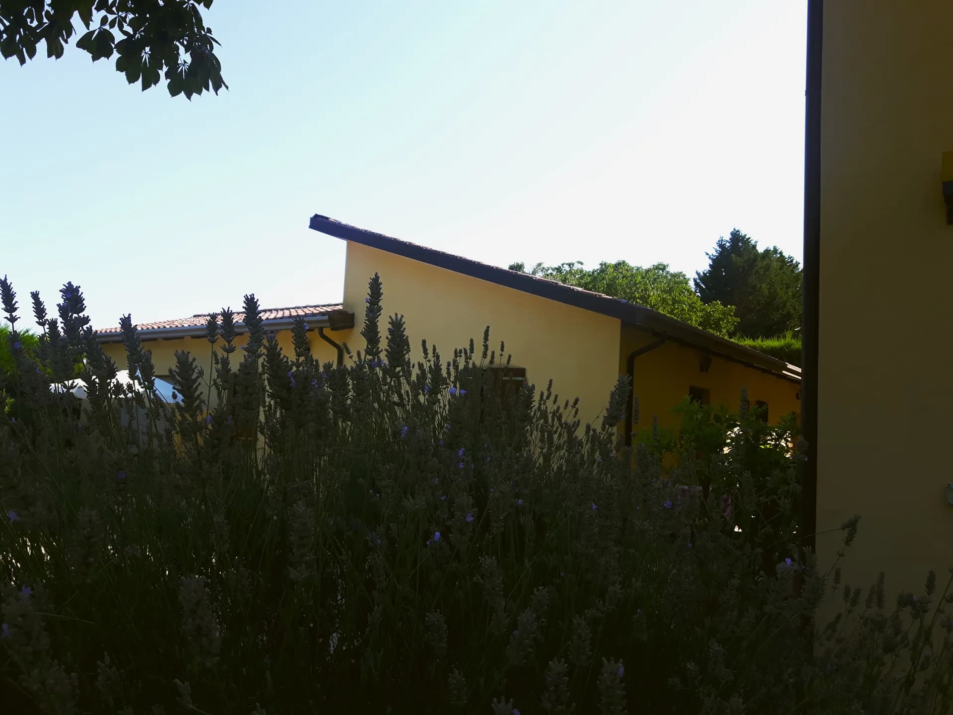 Apartamento / Residencia para 2 personas - Asís (PG) - Foto 9