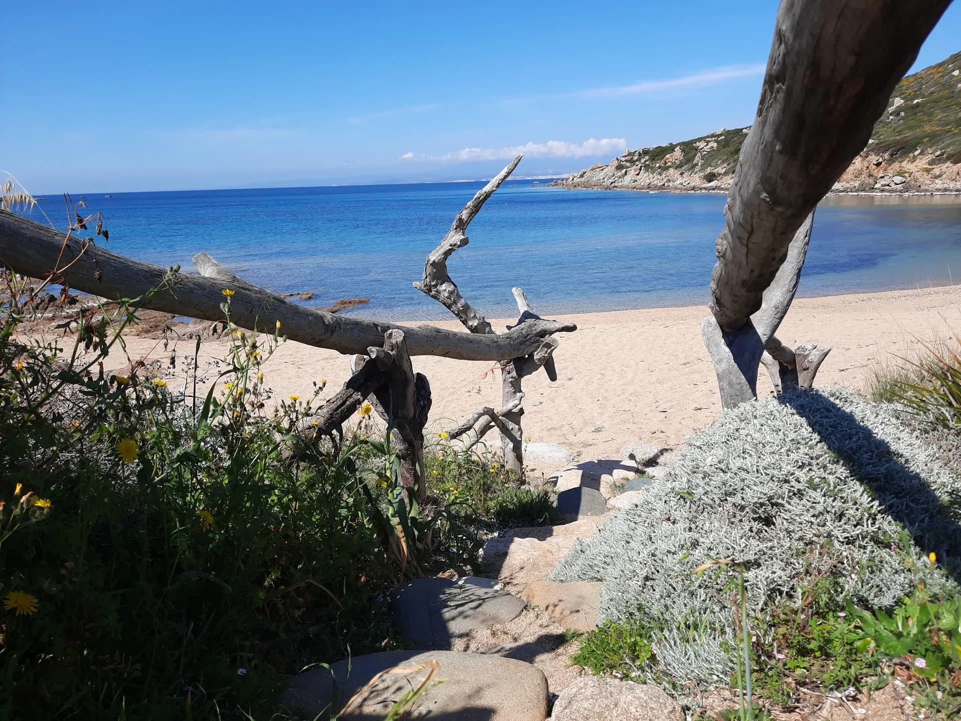 Apartamento de 3 piezas para 6 personas – con doppio Servizio - Santa Teresa Gallura (OT) - Foto principal