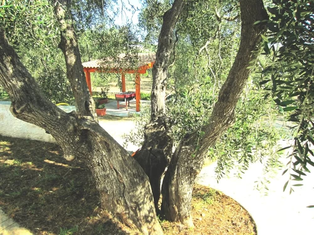 Estudio para 2 personas - Vieste (FG) - Foto 12