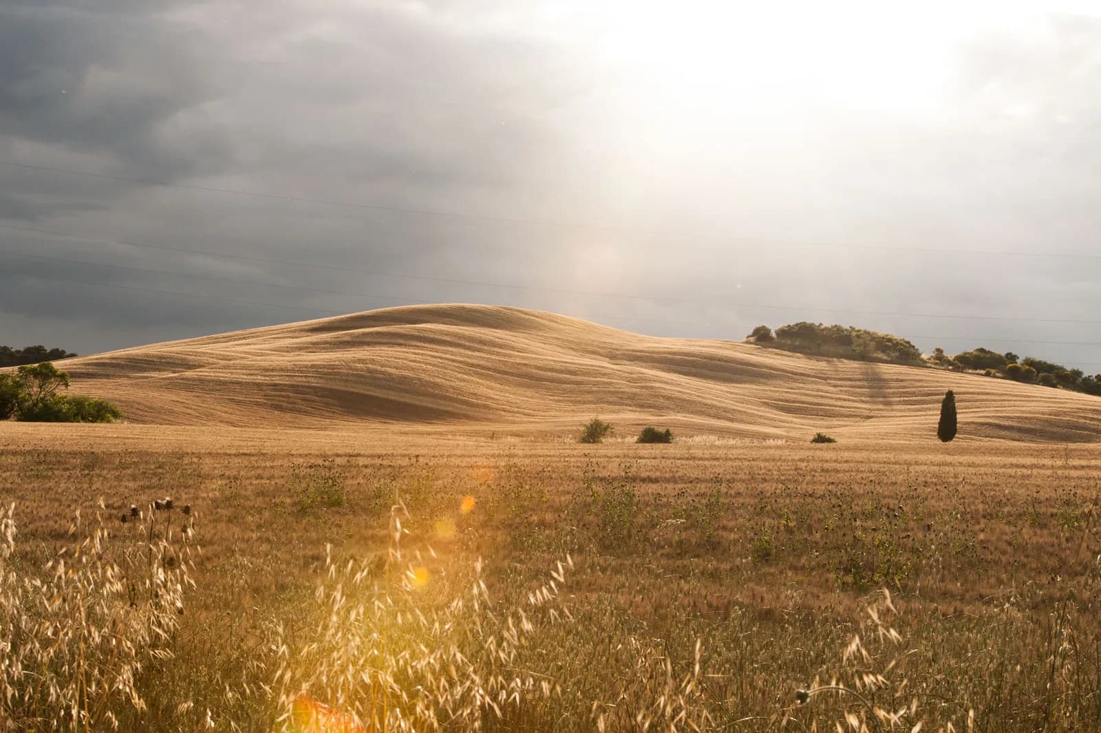 Agriturismo Lucignanello - Casa Rural / Finca en Pienza (SI)