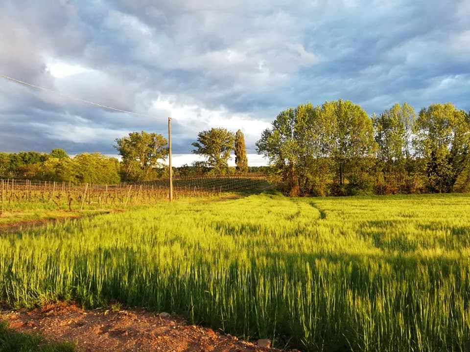 Agritourisme Nuova Scardua - Mantoue (MN) - Photo 11
