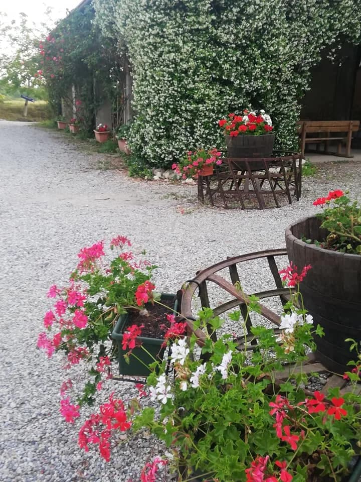 Agritourisme Nuova Scardua - Mantoue (MN) - Photo 15