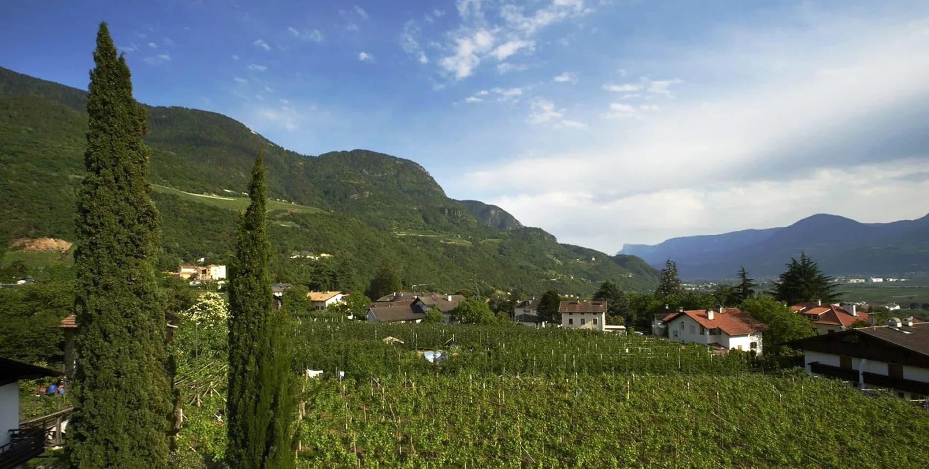 Hôtel Ladurner - Méran (BZ) - Photo 4