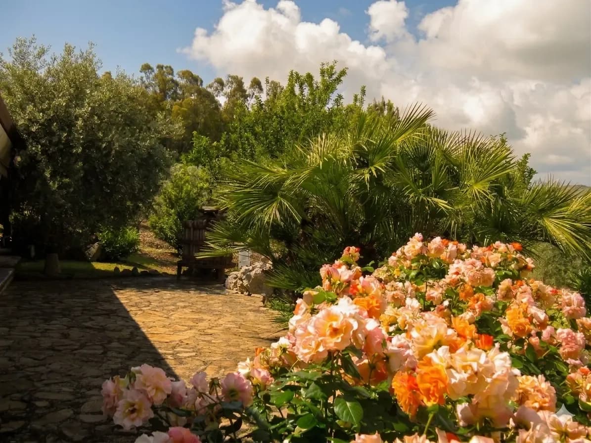 Bauernhof Capra Licca - Palermo (PA) - Foto 4