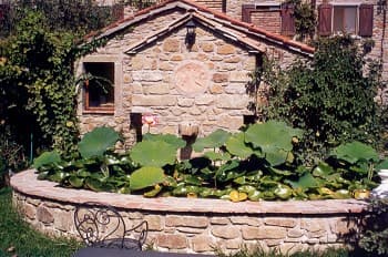 Farmhouse da Domenico - Foto 2