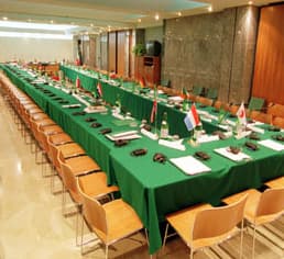 Hotel San Gallo Palace - Foto 4