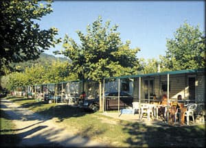 Campingplatz Continental Lido - Foto 2