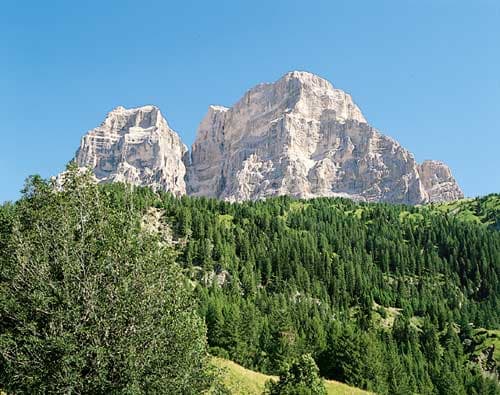 Campingplatz Palafavera - Belluno (BL) - Foto 2