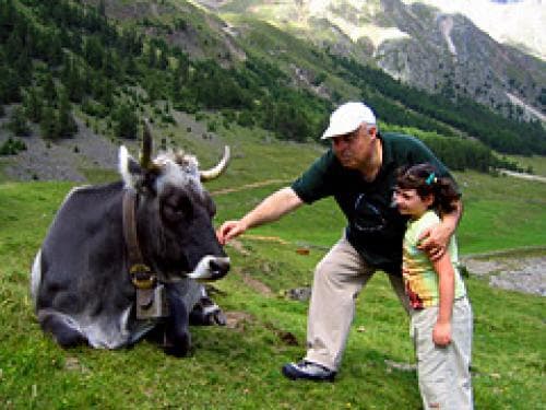 Camping Adler - Naturno (BZ) - Foto 3