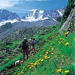Appartement 2 pièces – Passo Tonale - Foto 3